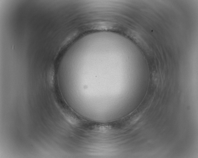 X0000071900304200607212023