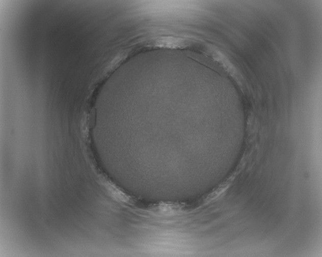 X0000071900305200607212023