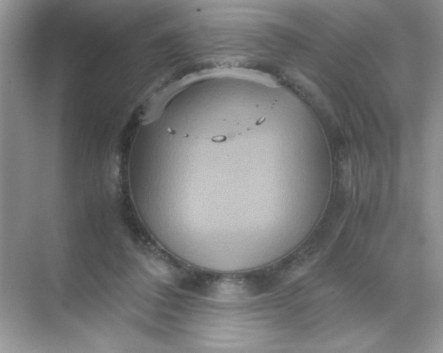 X0000071900308200607212023