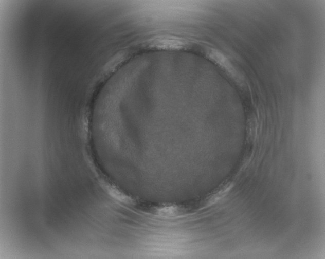 X0000071900309200607212023