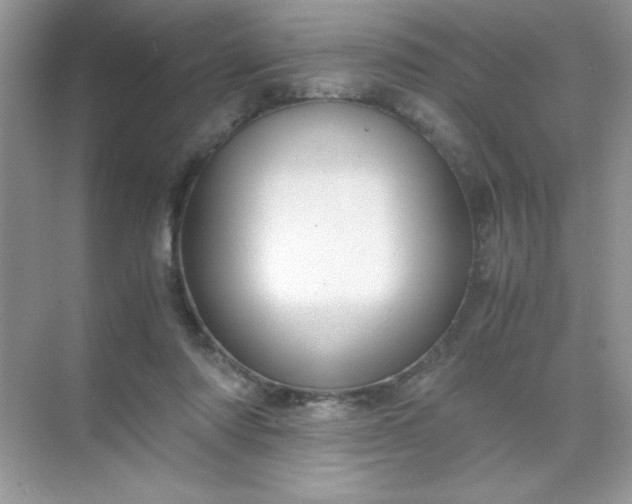 X0000071900310200607212023