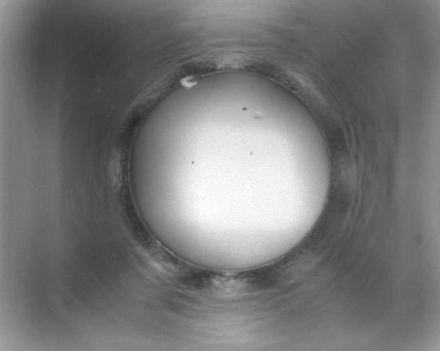 X0000071900311200607212023