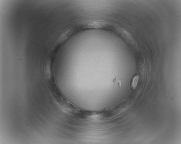 X0000071900312200607212023