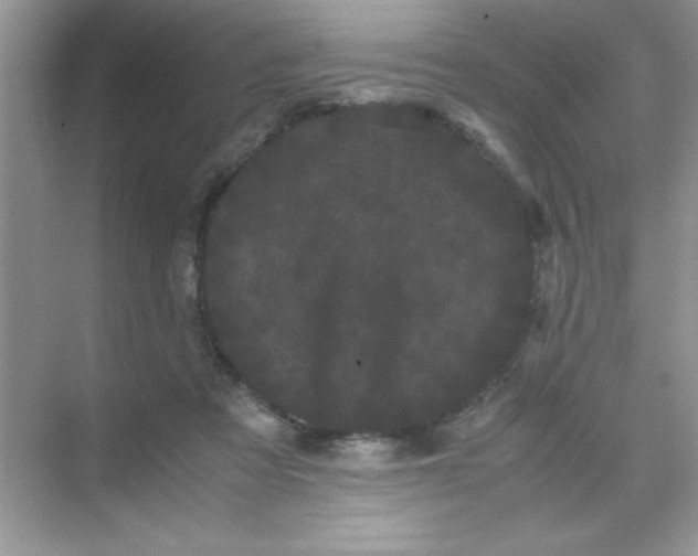 X0000071900313200607212023