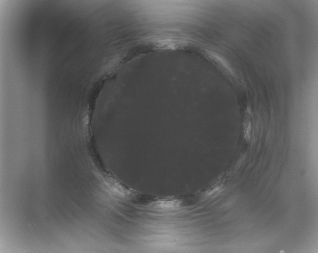 X0000071900314200607212023