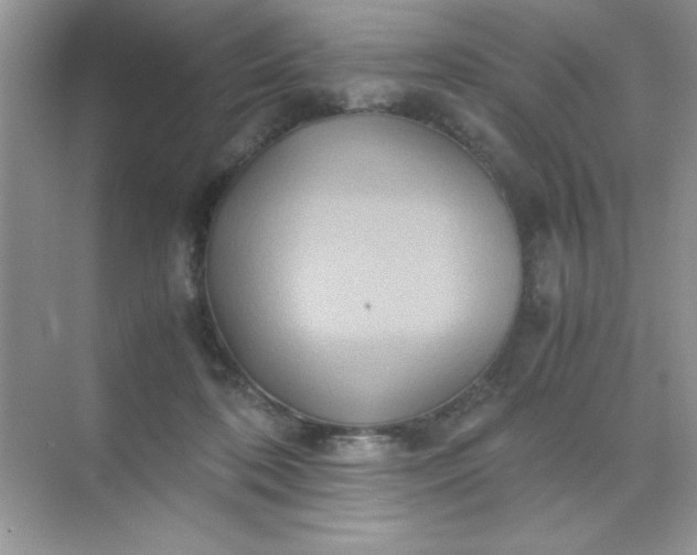 X0000071900316200607212023