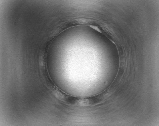 X0000071900317200607212023