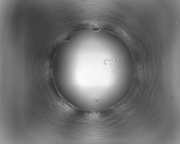 X0000071900318200607212023