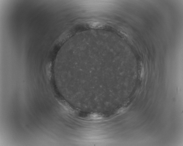 X0000071900319200607212023