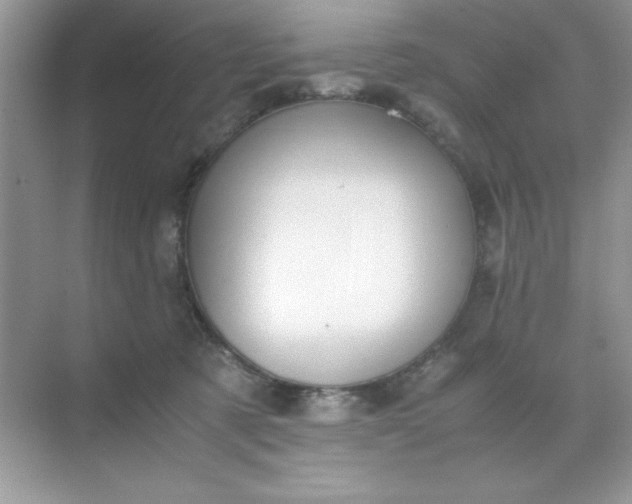 X0000071900321200607212023