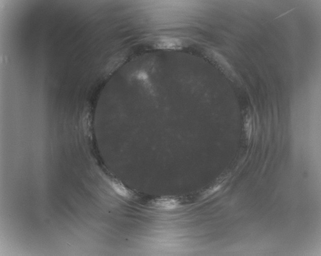 X0000071900322200607212023