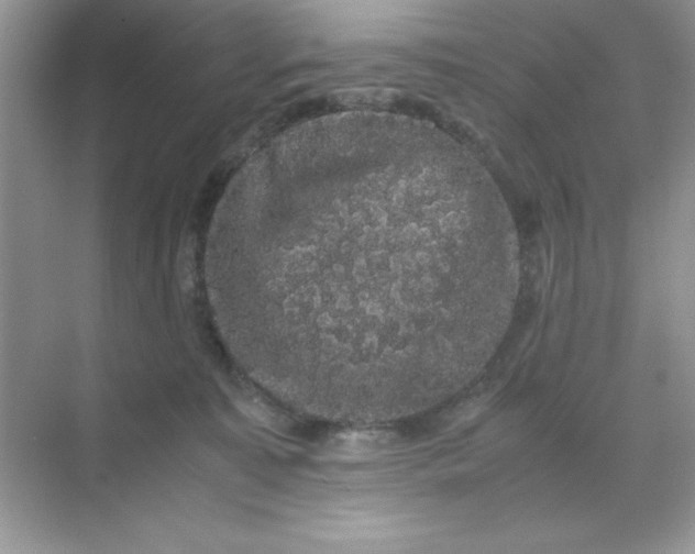 X0000071900323200607212023