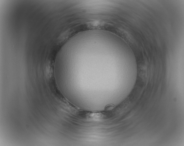 X0000071900324200607212023