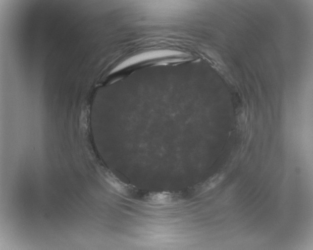 X0000071900325200607212023