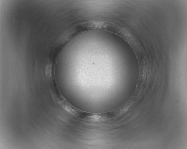 X0000071900326200607212023