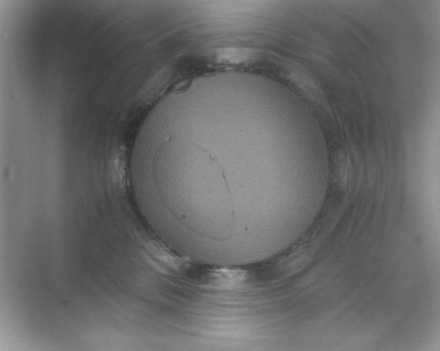 X0000071900328200607212023