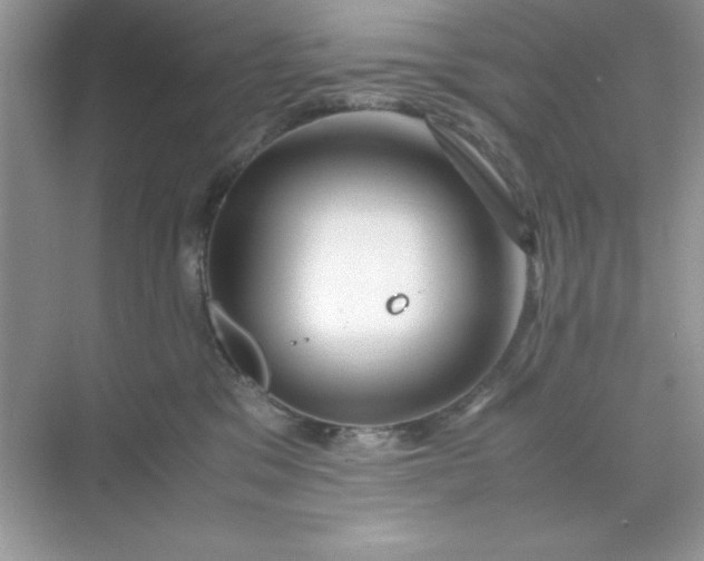 X0000071900329200607212023