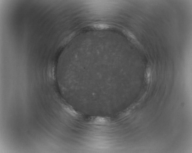 X0000071900330200607212023