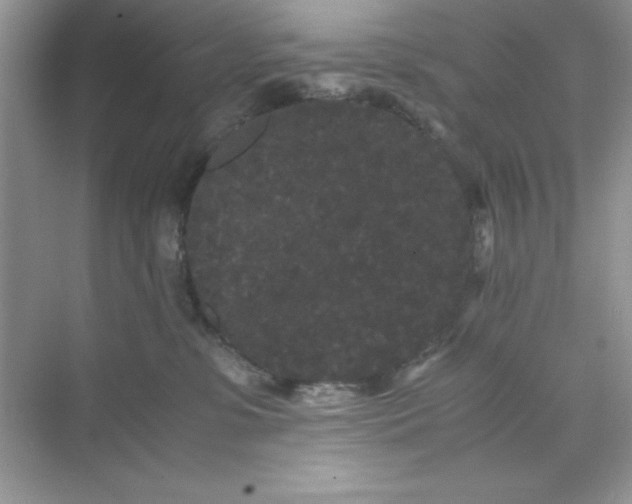 X0000071900331200607212023