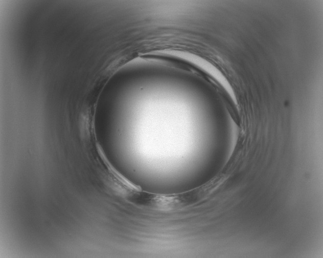 X0000071900333200607212023