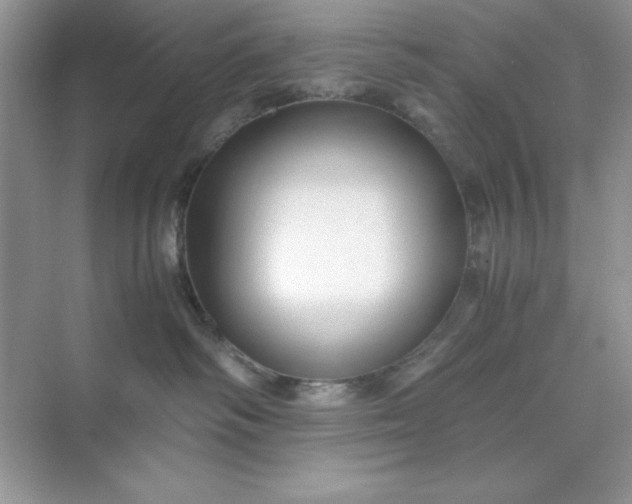 X0000071900334200607212023