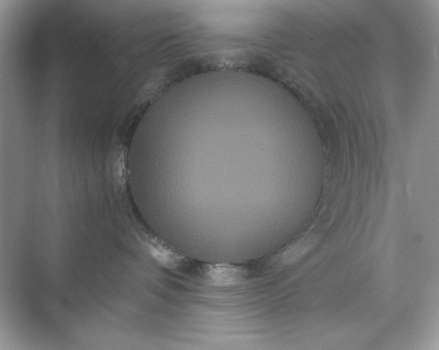 X0000071900336200607212023