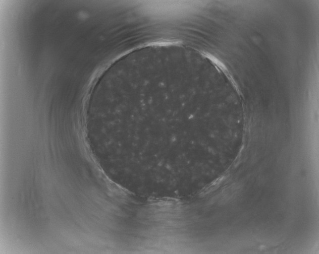 X0000071900337200607212022