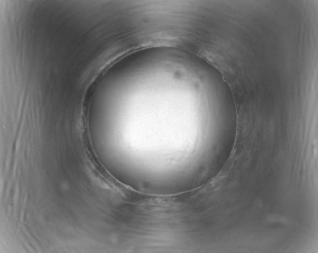 X0000071900338200607212022