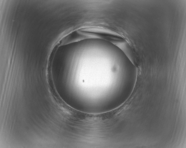 X0000071900340200607212022