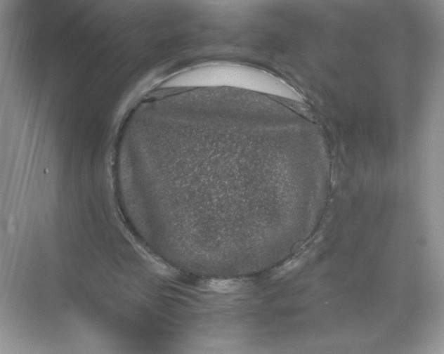 X0000071900341200607212022