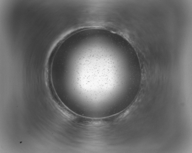 X0000071900342200607212022