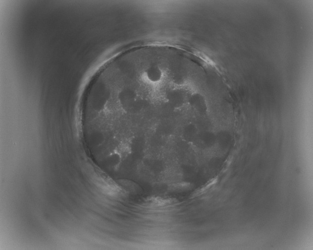 X0000071900343200607212022