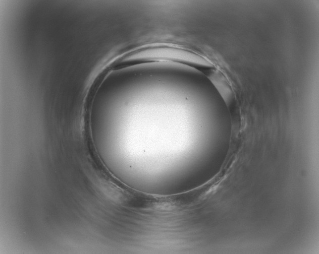 X0000071900344200607212022