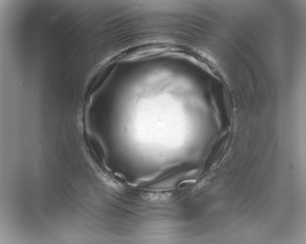 X0000071900345200607212022