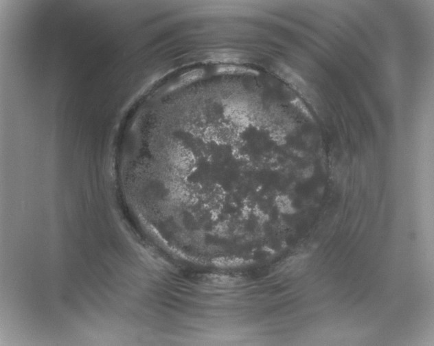 X0000071900347200607212022