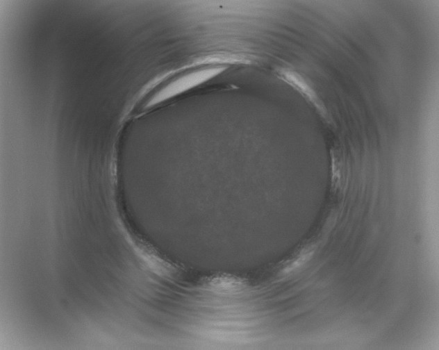 X0000071900348200607212022