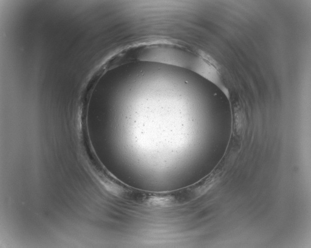 X0000071900350200607212022