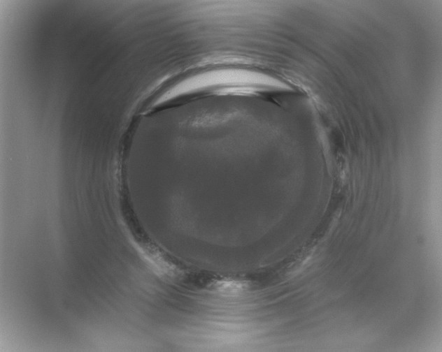 X0000071900352200607212022