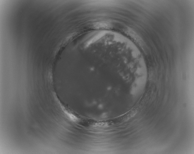 X0000071900353200607212022