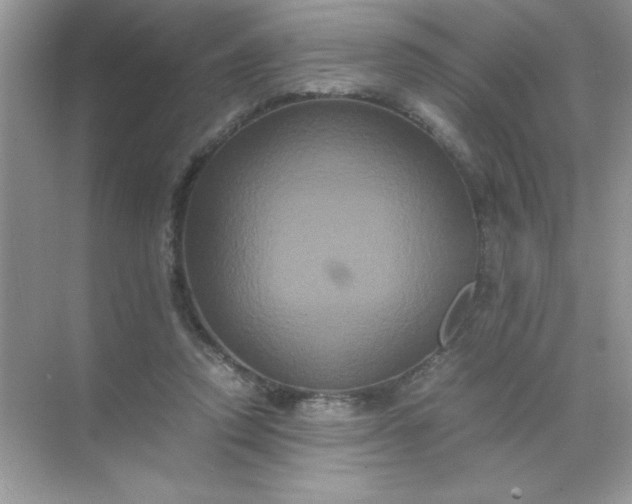 X0000071900354200607212022