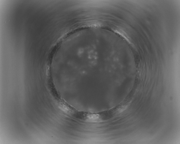 X0000071900355200607212022