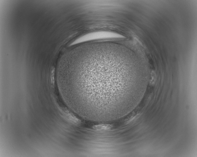 X0000071900356200607212022