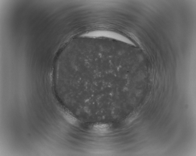 X0000071900357200607212022