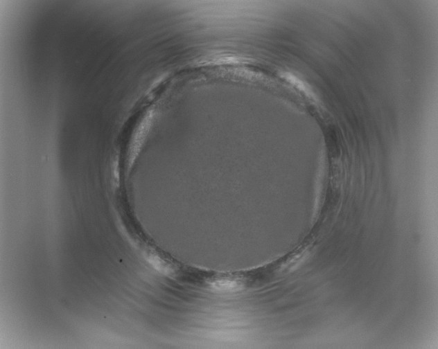 X0000071900358200607212022