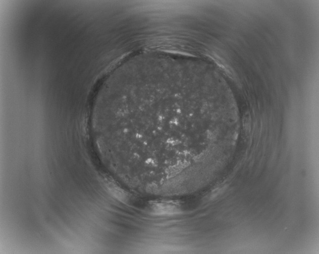 X0000071900359200607212022