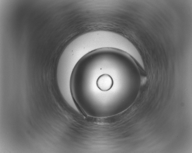 X0000071900360200607212022