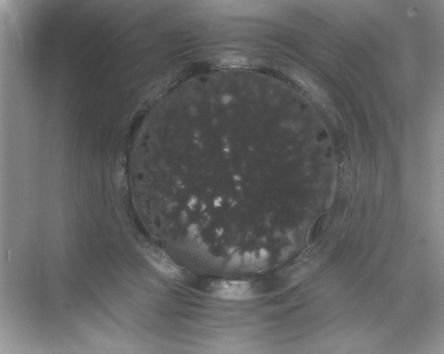 X0000071900361200607212022