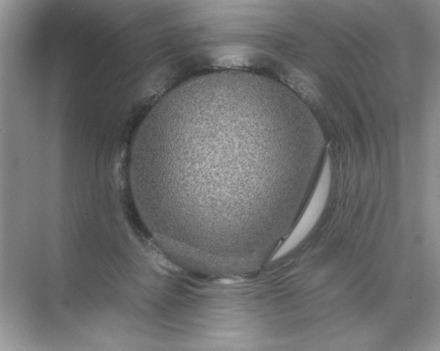 X0000071900364200607212022