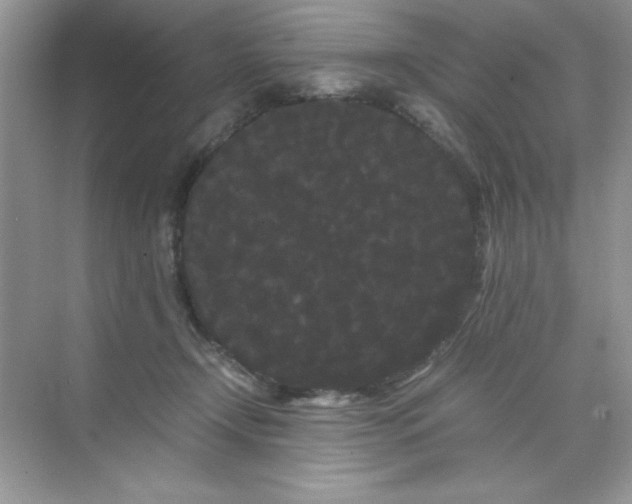 X0000071900366200607212022