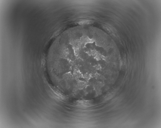 X0000071900367200607212022